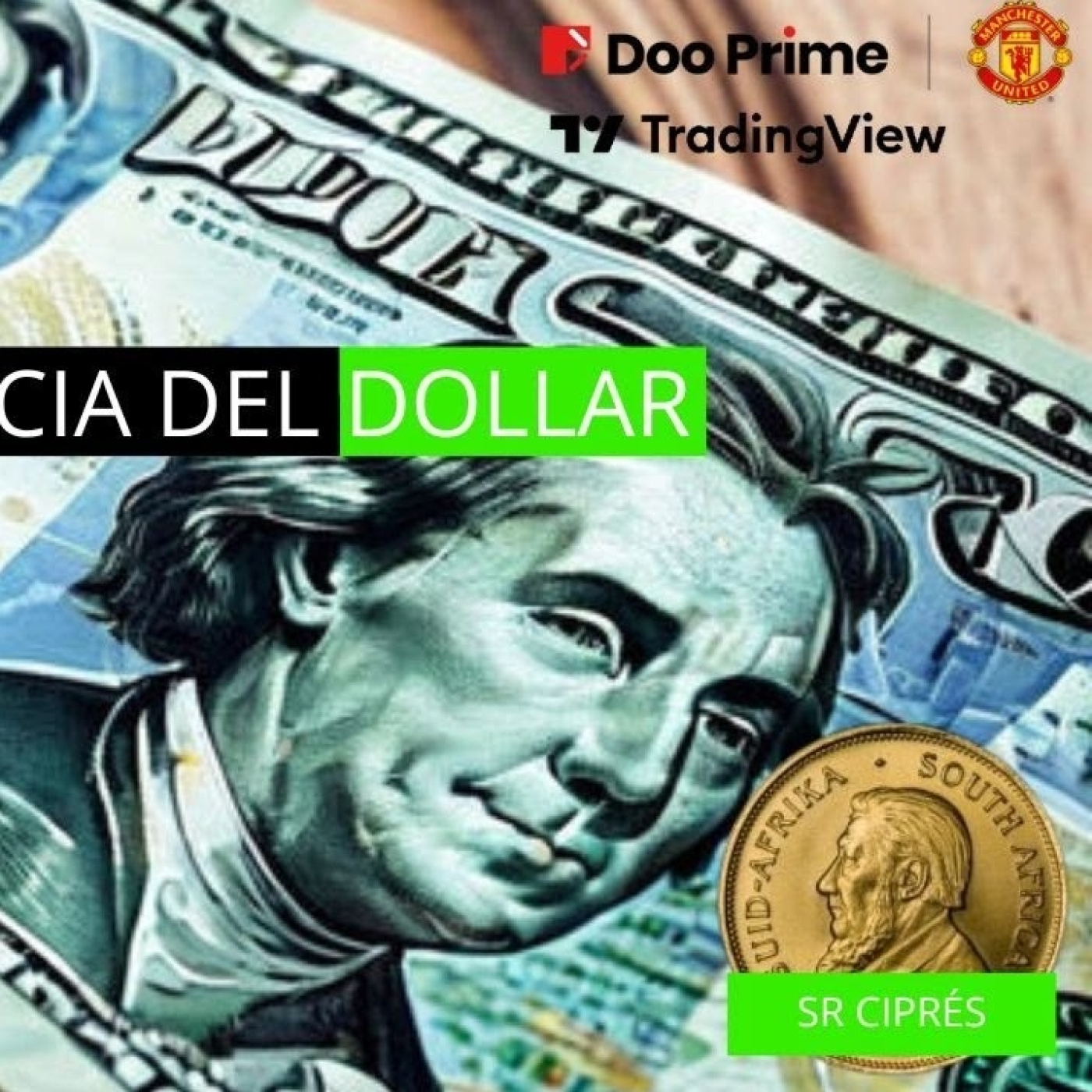 La madriguera económica