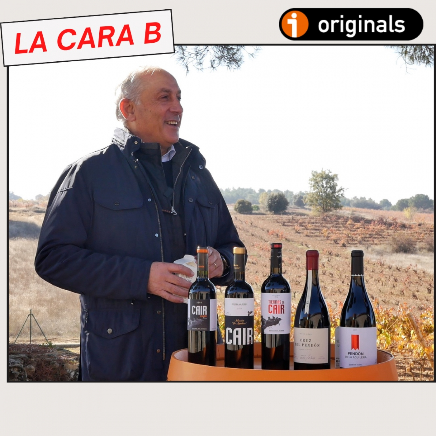 VINO PARA CAMALEONES