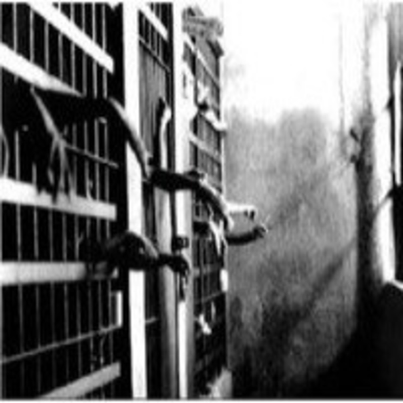 Podcast de Resiste Tierra