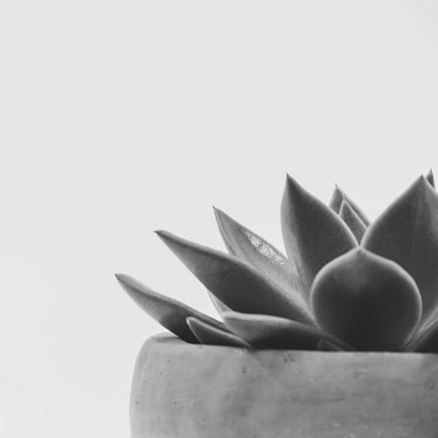 Mindfulwork