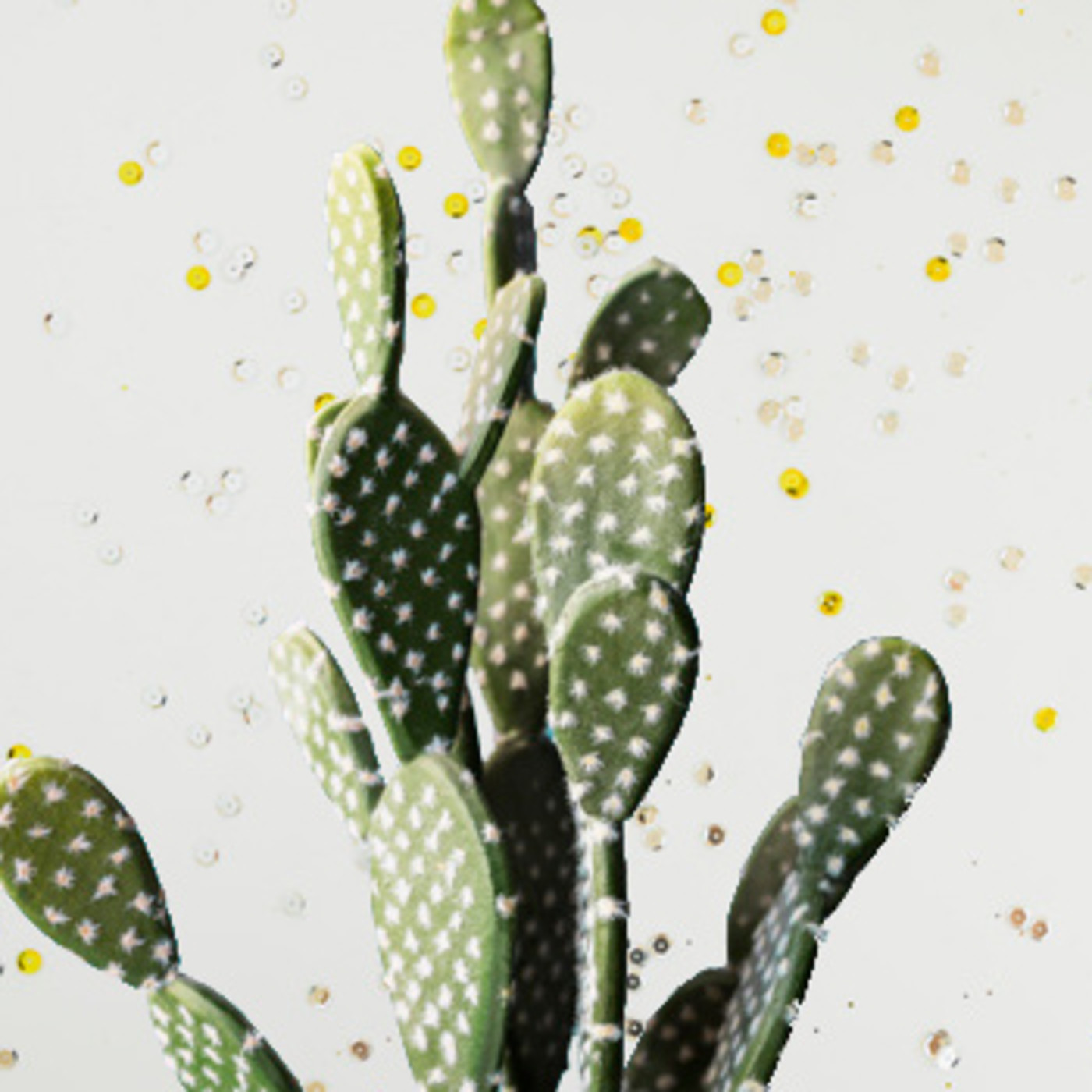 Cactus Confetti