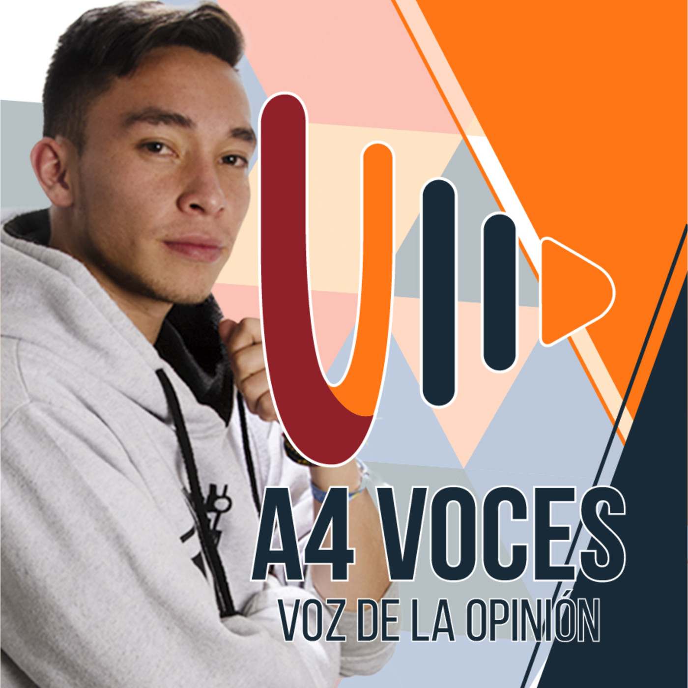 PROGRAMAS UNIPANAMERICANA