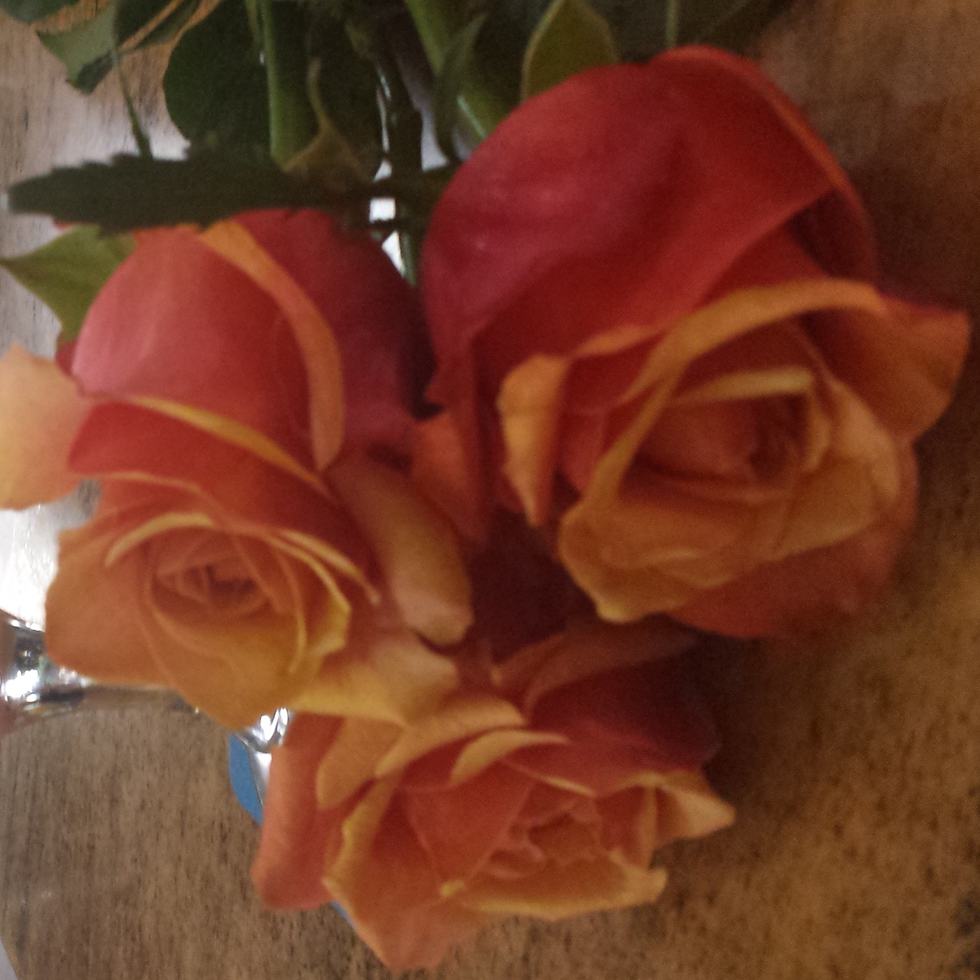 Nuestra Mente es Maravillosa