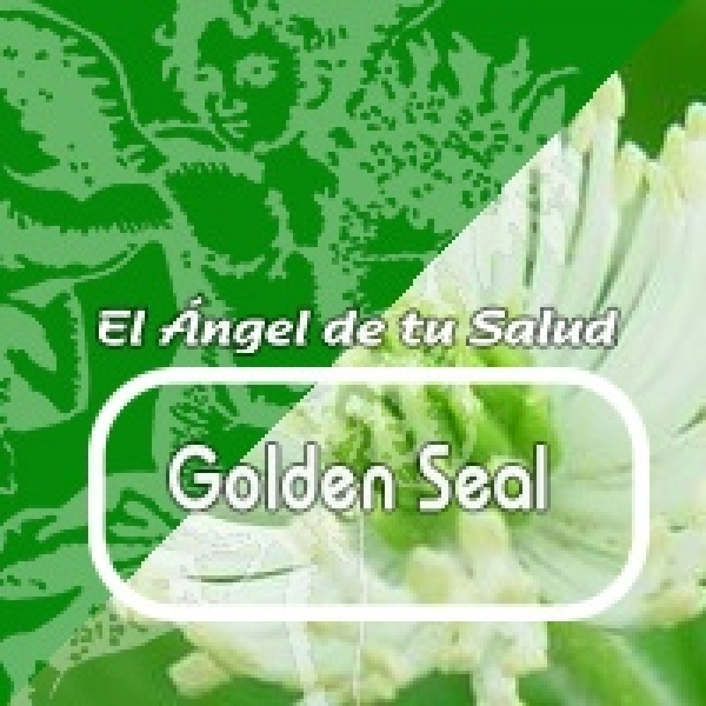 El Ángel de tu Salud - GOLDEN SEAL**** episode artwork