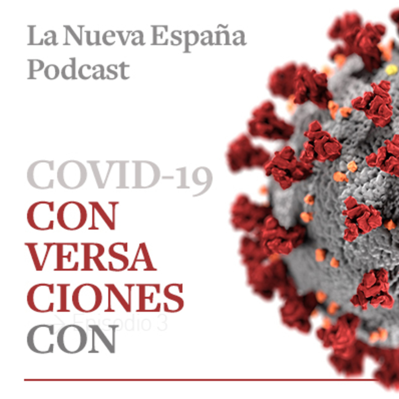 Conversaciones con Covid-19