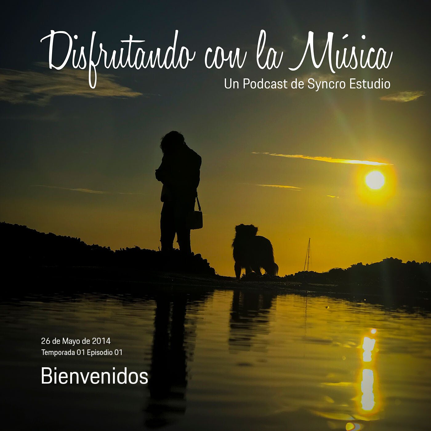 Disfrutando con la Música