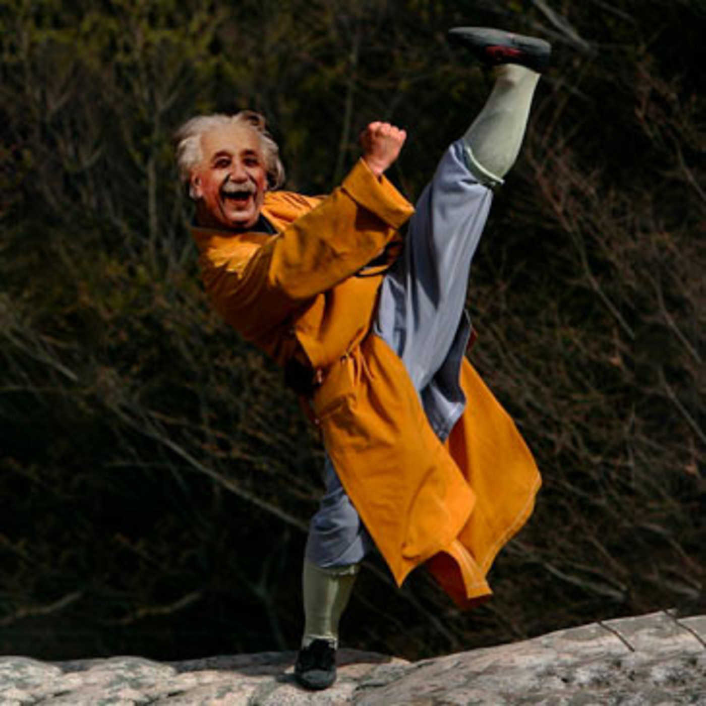 Dragonz | Artes Marciales y Deportes de Contacto