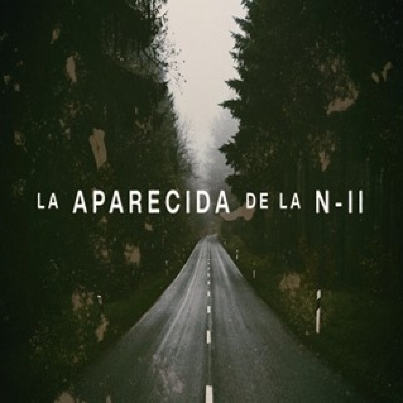 Cuarto Milenio 17×26 (27/02/2022): La aparecida de la N-II