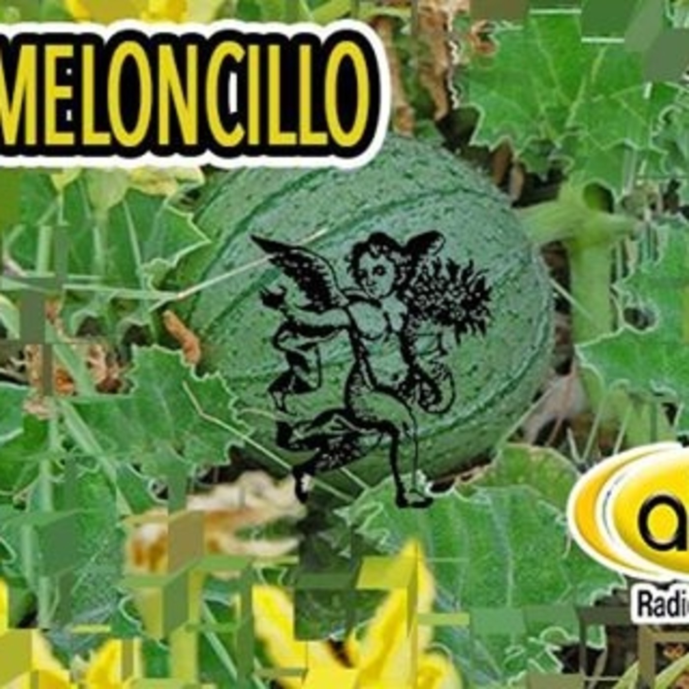 El Ángel de tu Salud - MELONCILLO