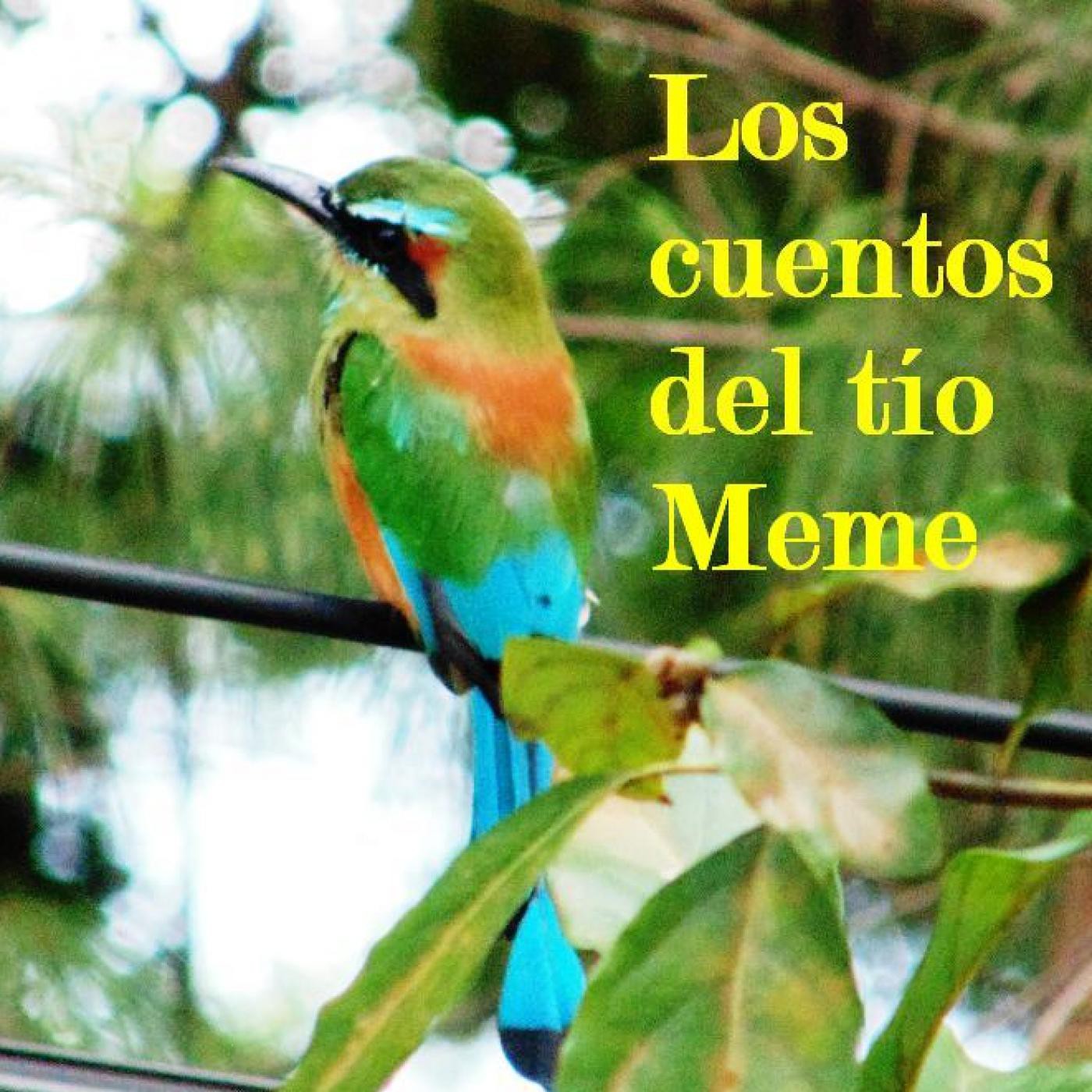 LOS CUENTOS DEL TÍO MEME