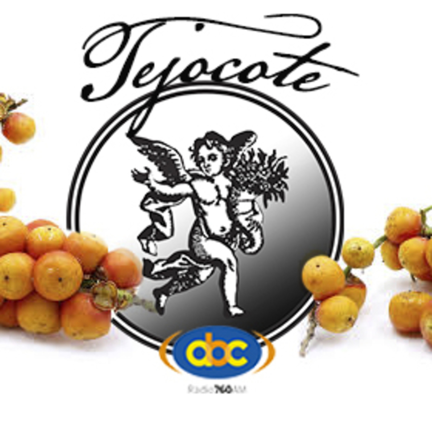 El Ángel de tu Salud - TEJOCOTE episode artwork