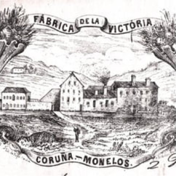 embed image