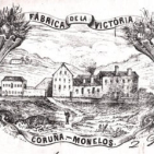 embed image