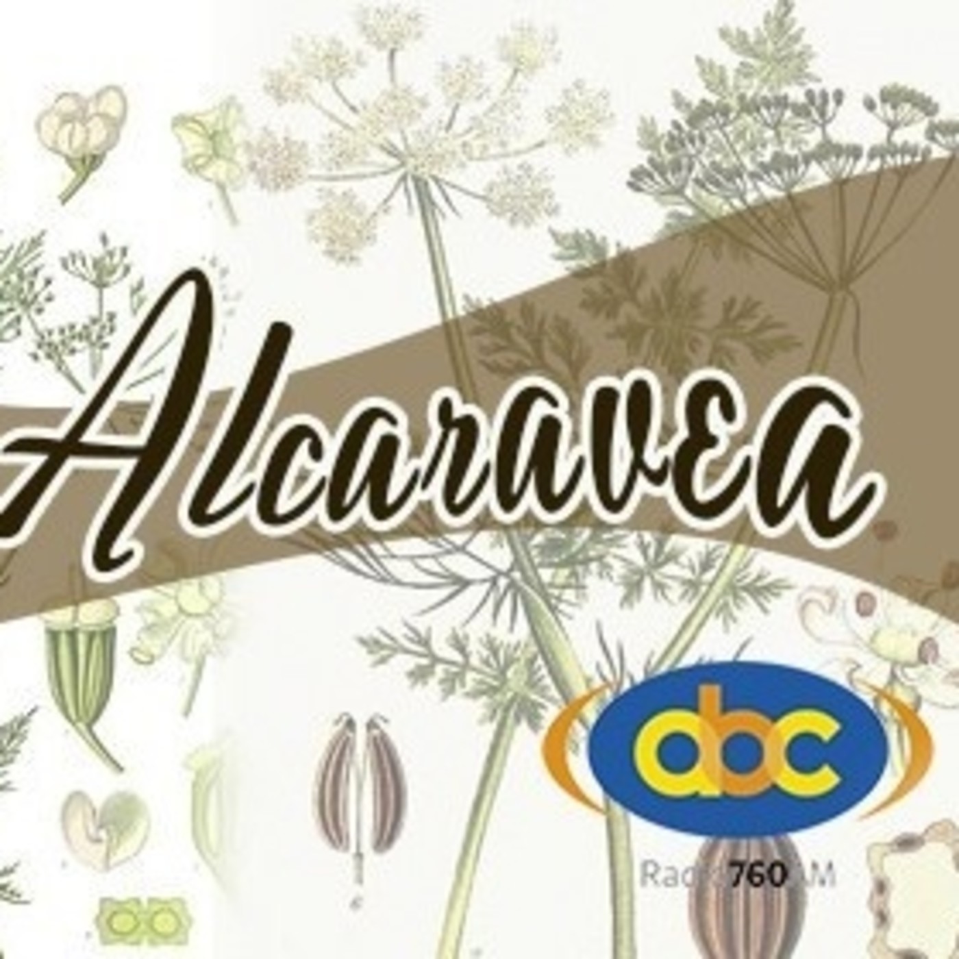 El Ángel de tu Salud - ALCARAVEA episode artwork