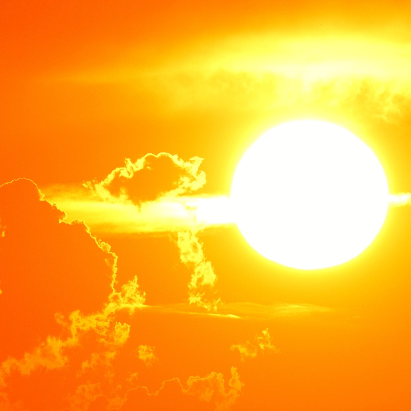 Red Sol AGARTAM