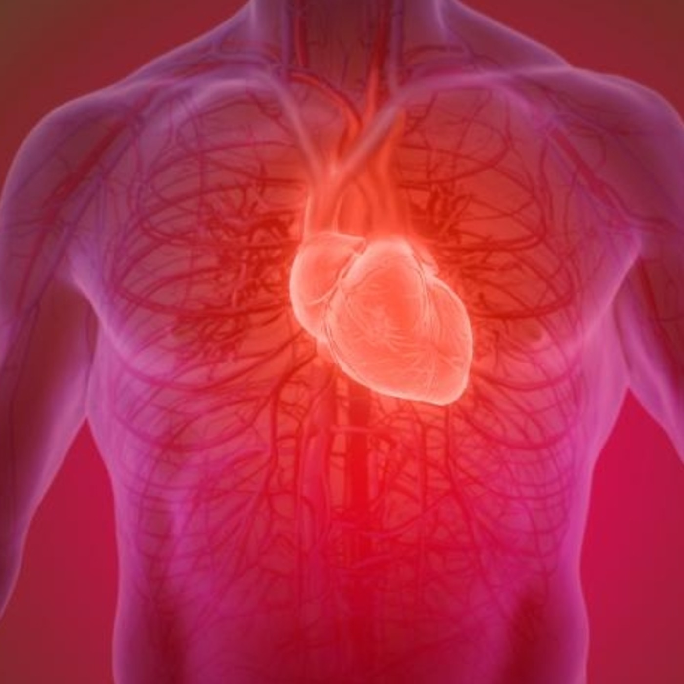 EMEDUCAST 8, Sindrome Aortico.