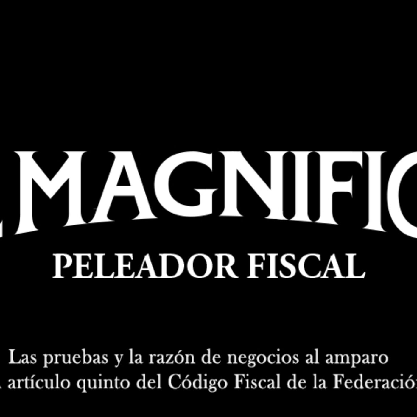 El magnifico: Peleador fiscal