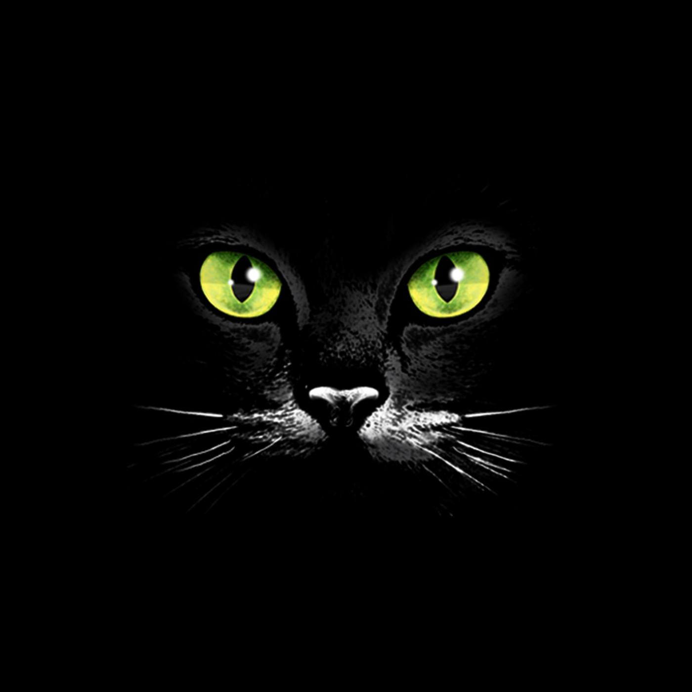 PODCAST de El Kallejón del Gato