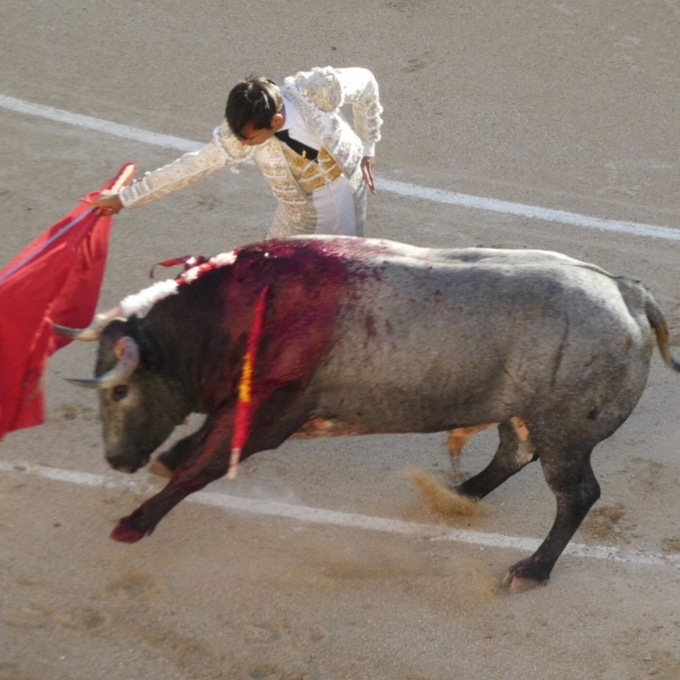Crítica Taurina