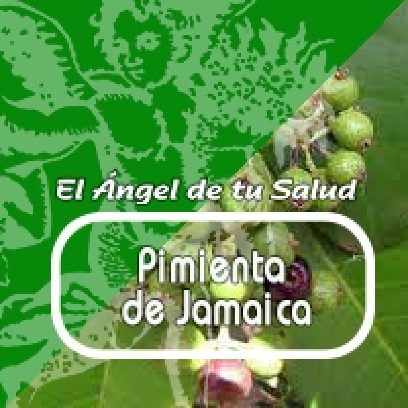 El Ángel de tu salud - PIMIENTA DE JAMAICA* episode artwork