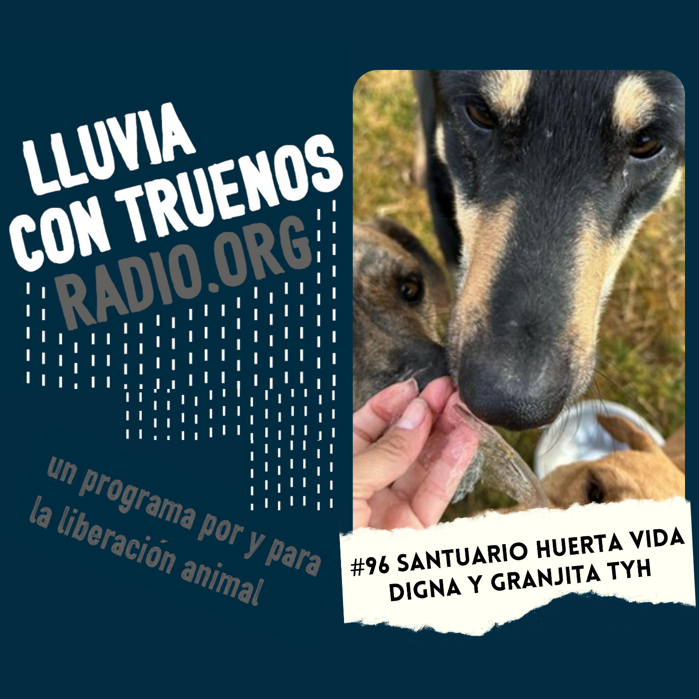 Lluvia con truenos radio