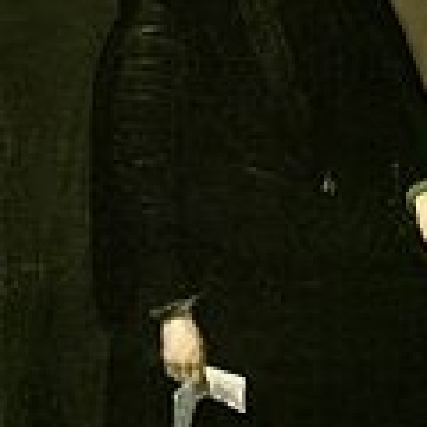 rubencin