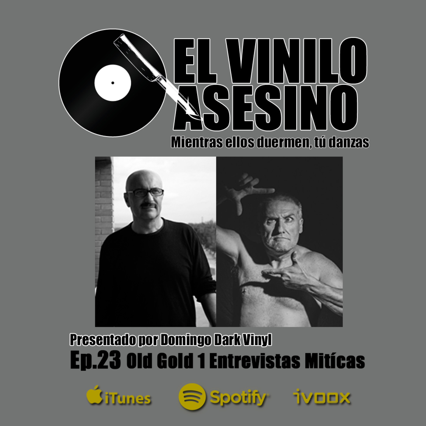 EL VINILO ASESINO