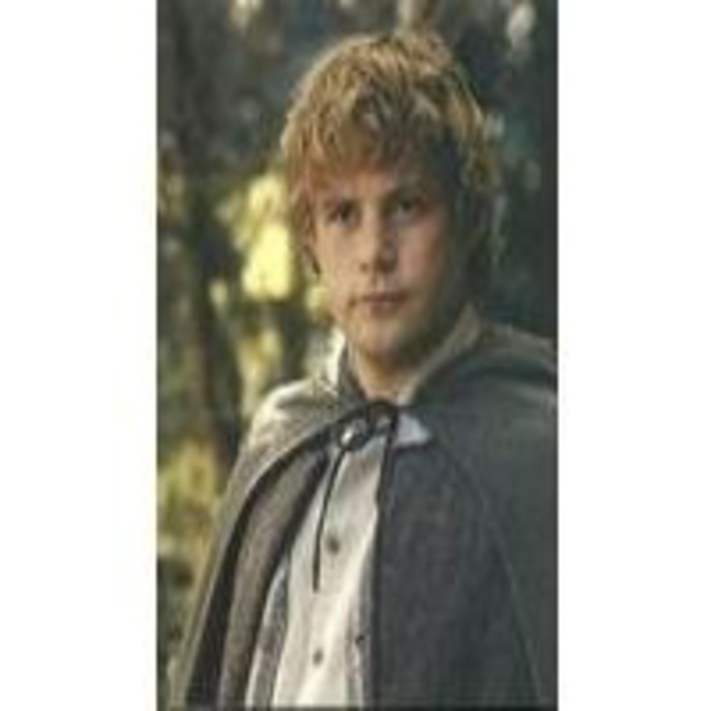 Samwise the Brave