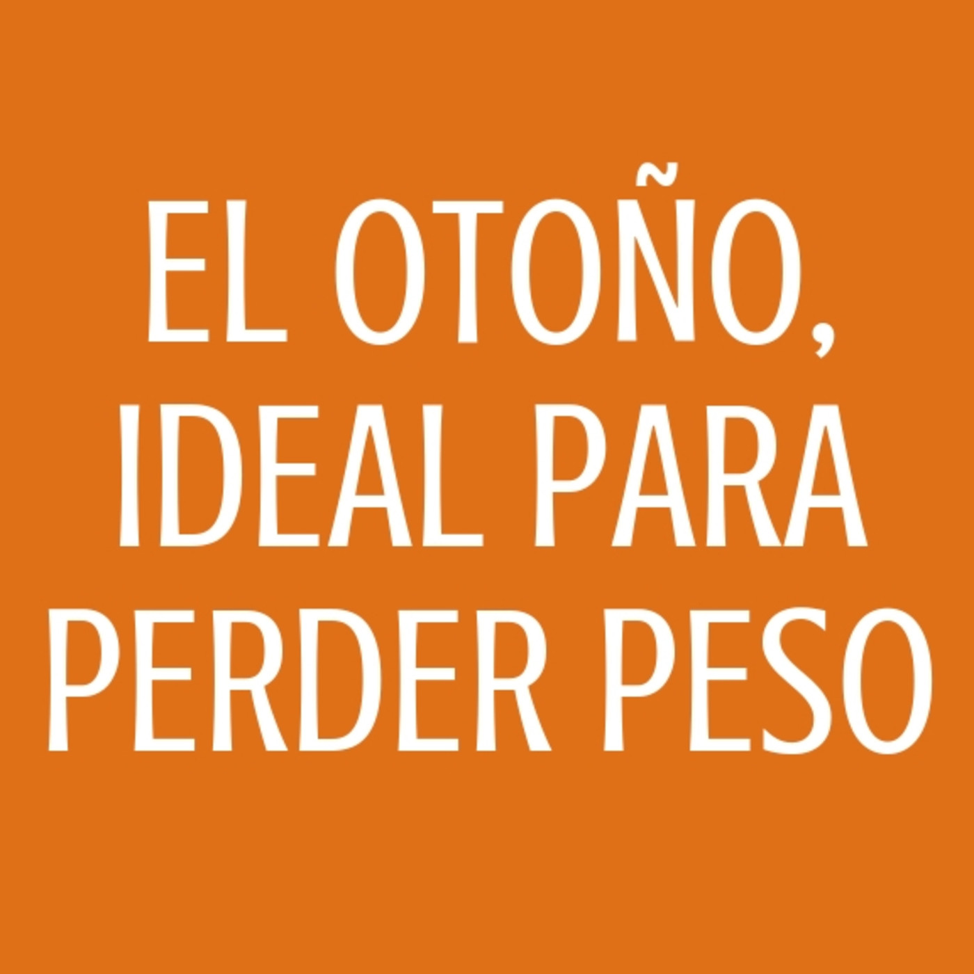Mis dietas para adelgazar