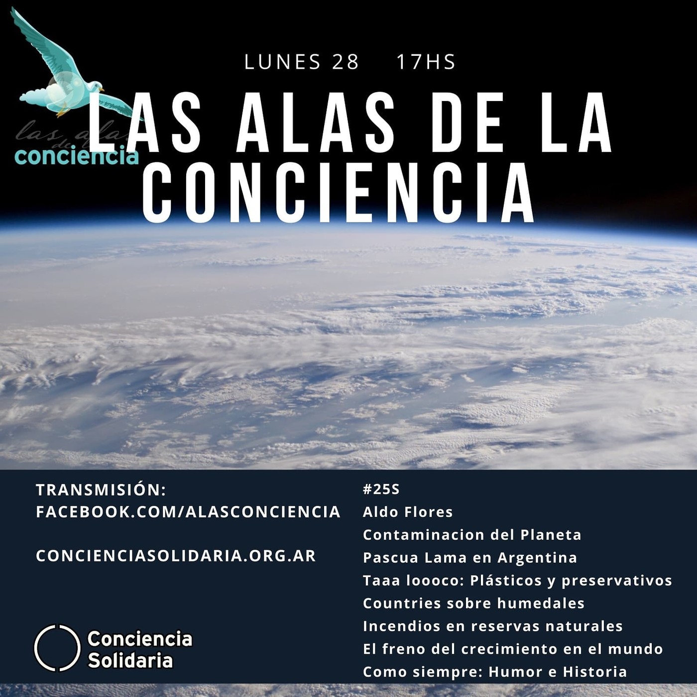 Las Alas de la Conciencia