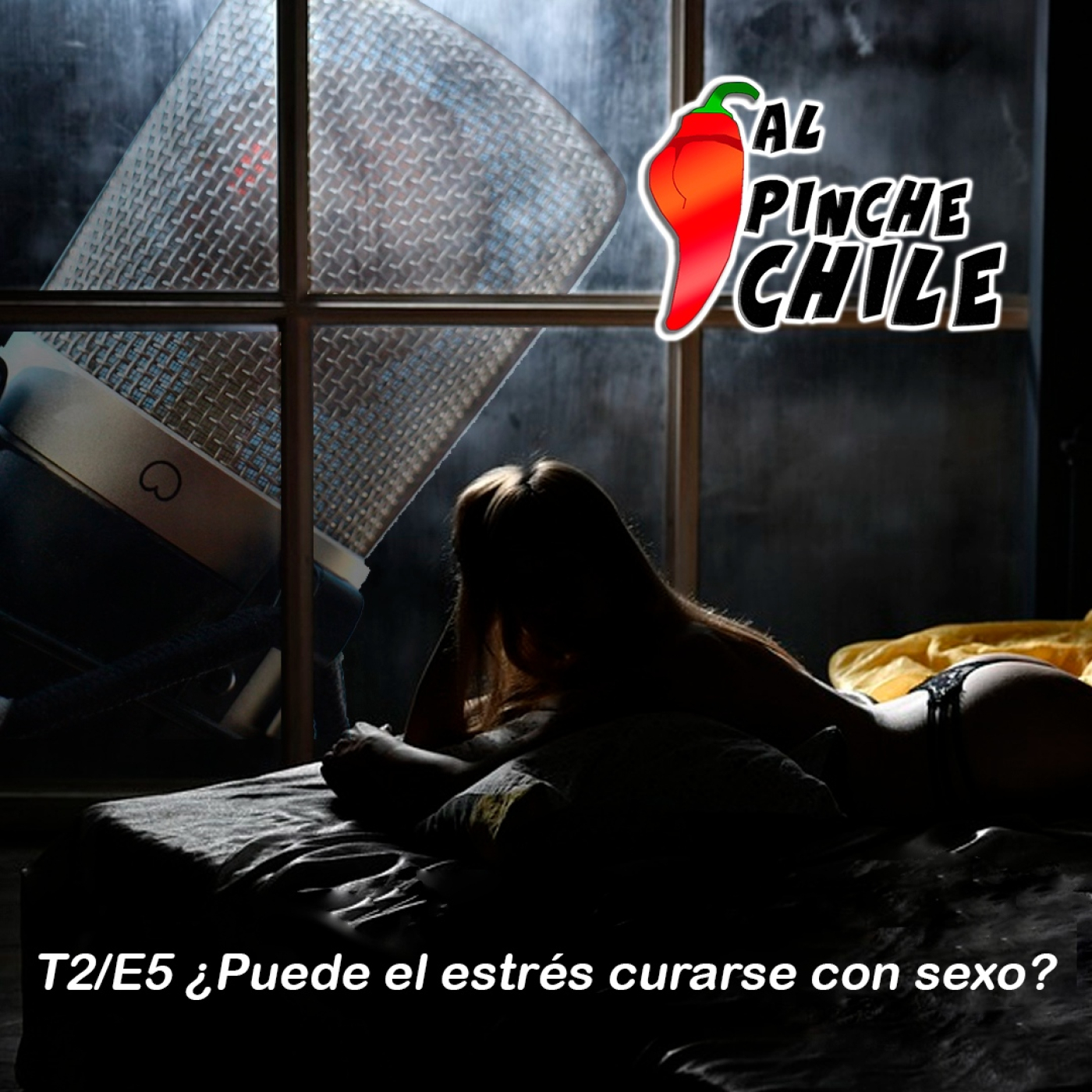 AL PINCHE CHILE 2DA TEMPORADA