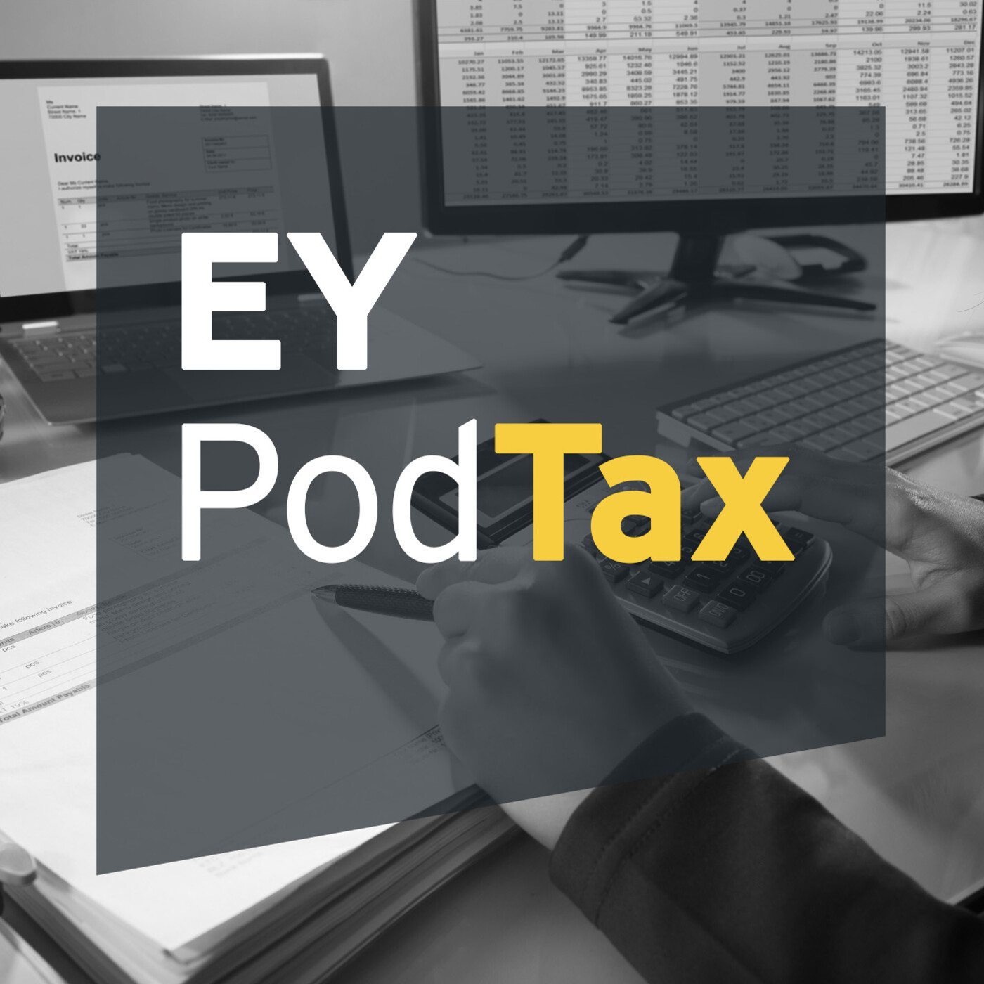 E9- Mitos y realidades de la fiscalización digital episode artwork