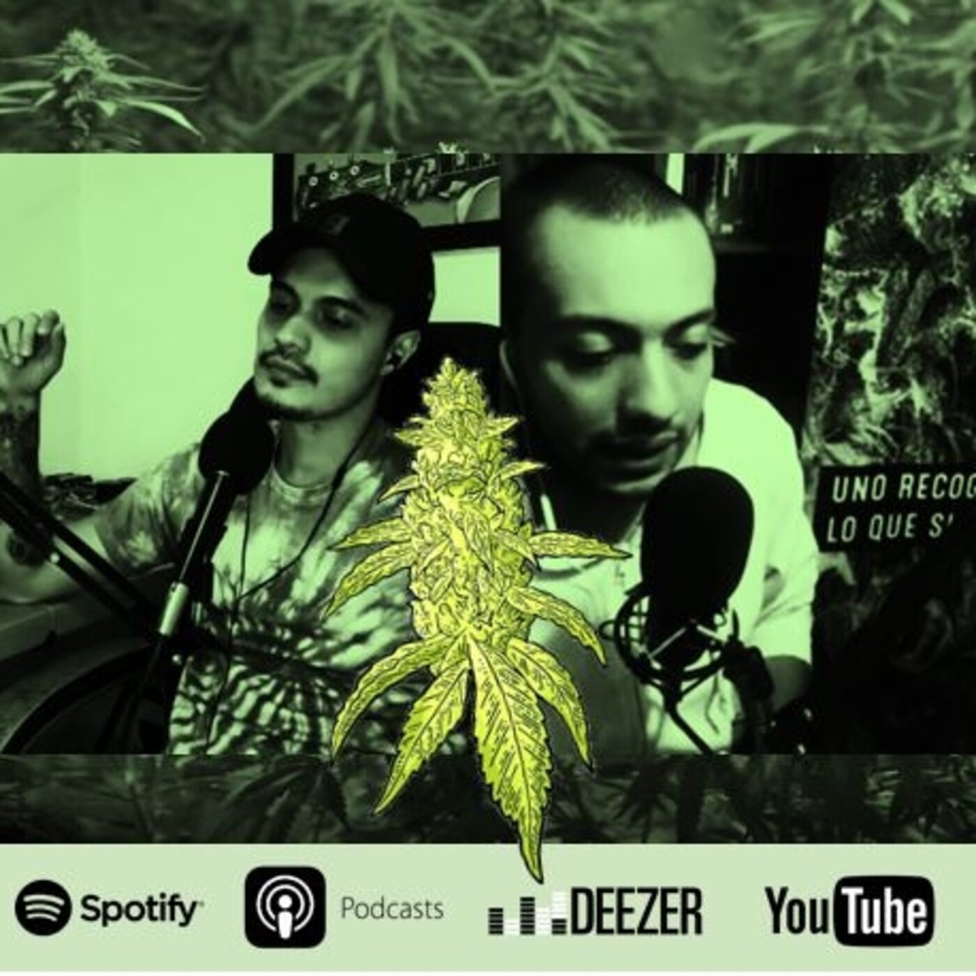La Voz del Cannabis
