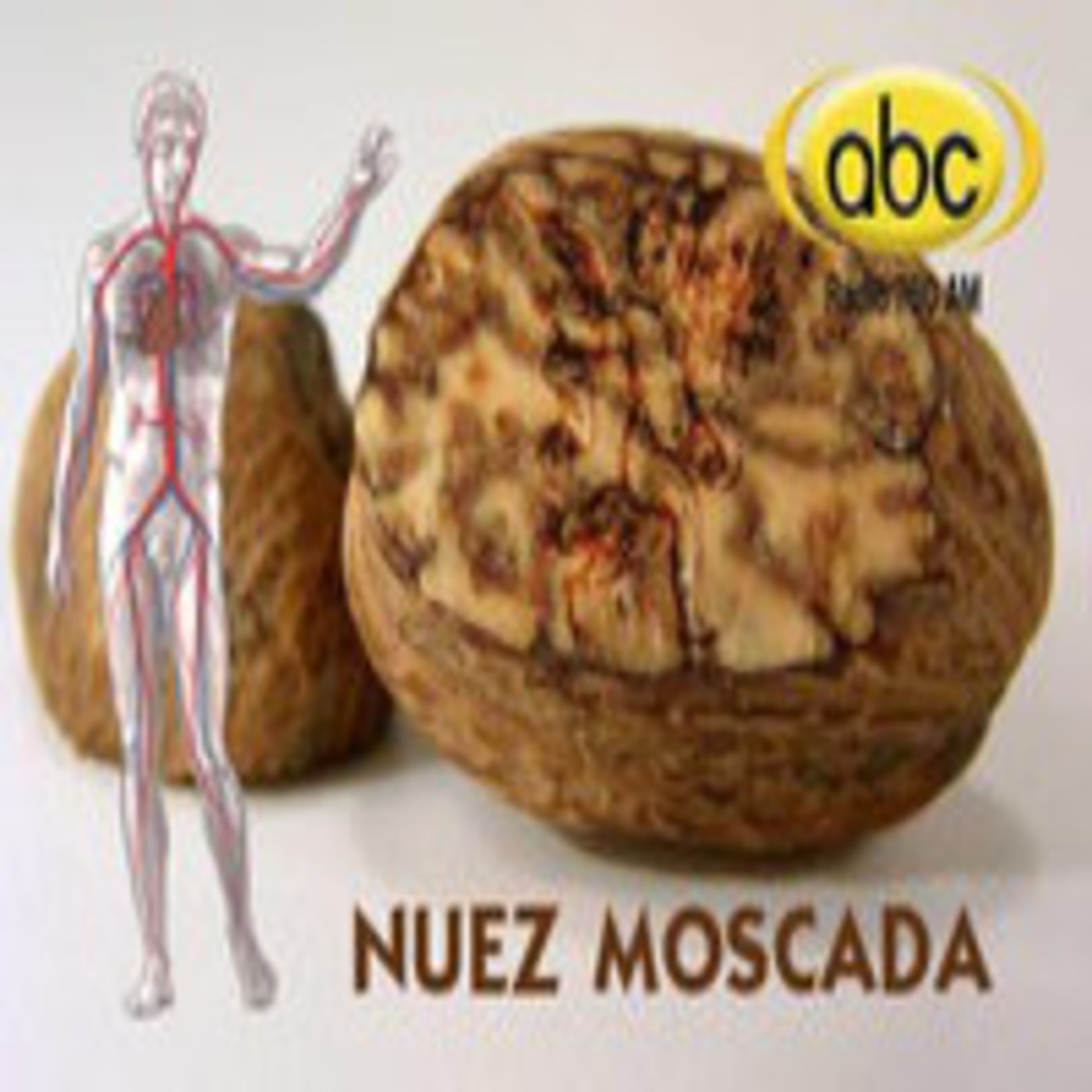 EL ANGEL DE TU SALUD- Rodrigo Mondragón- Nuez Moscada episode artwork