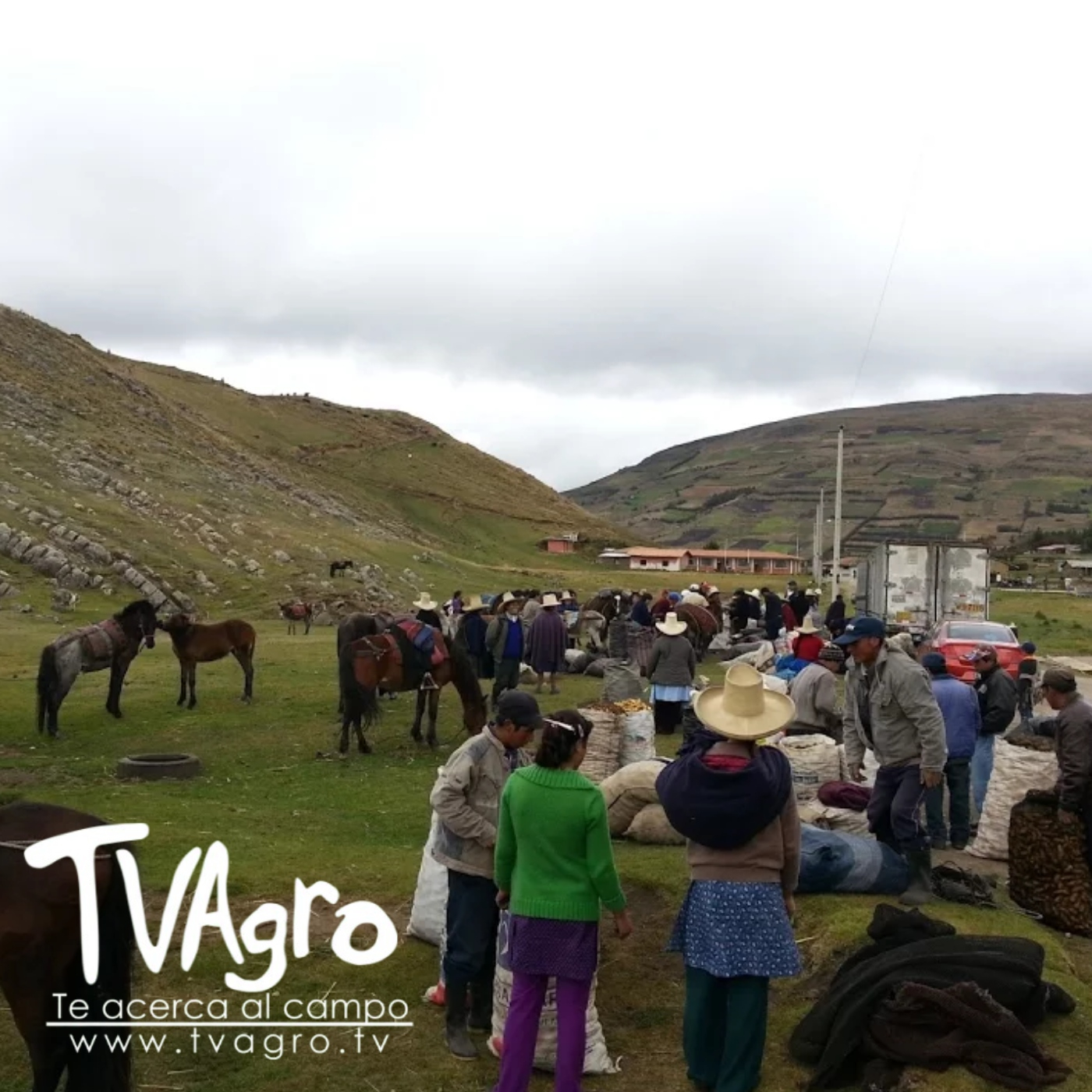 TV AGRO