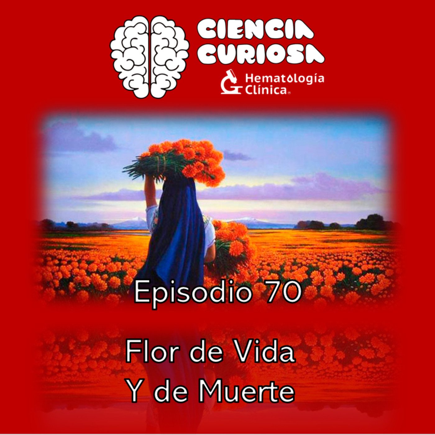 Ciencia Curiosa