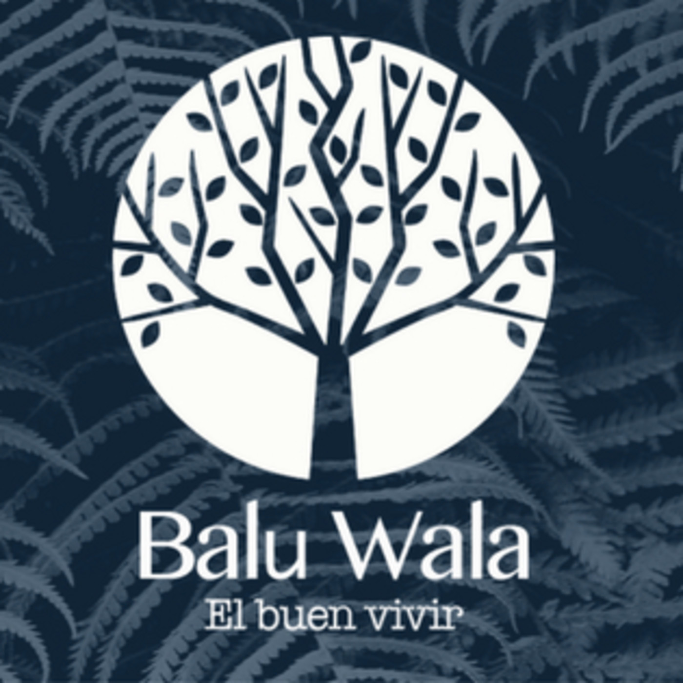 Balu Wala