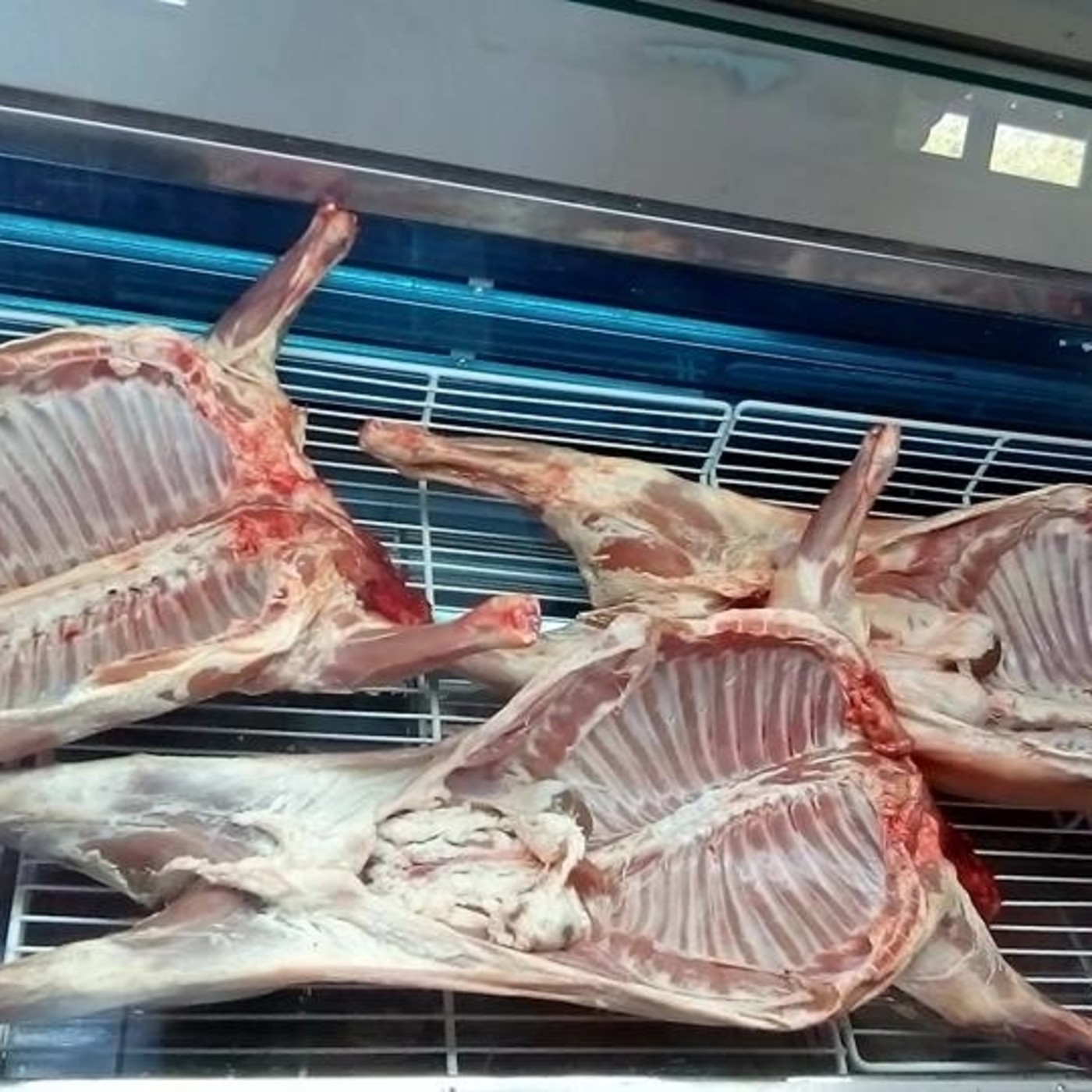 Podcast de Fm Bitacora