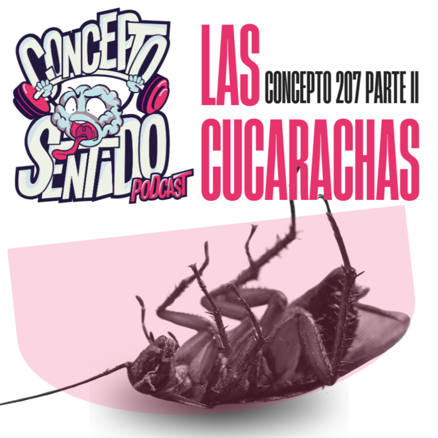 Concepto 207 |   LAS CUCARACHAS (Parte 2) episode artwork
