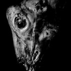 El Leyendero 'Brujas'