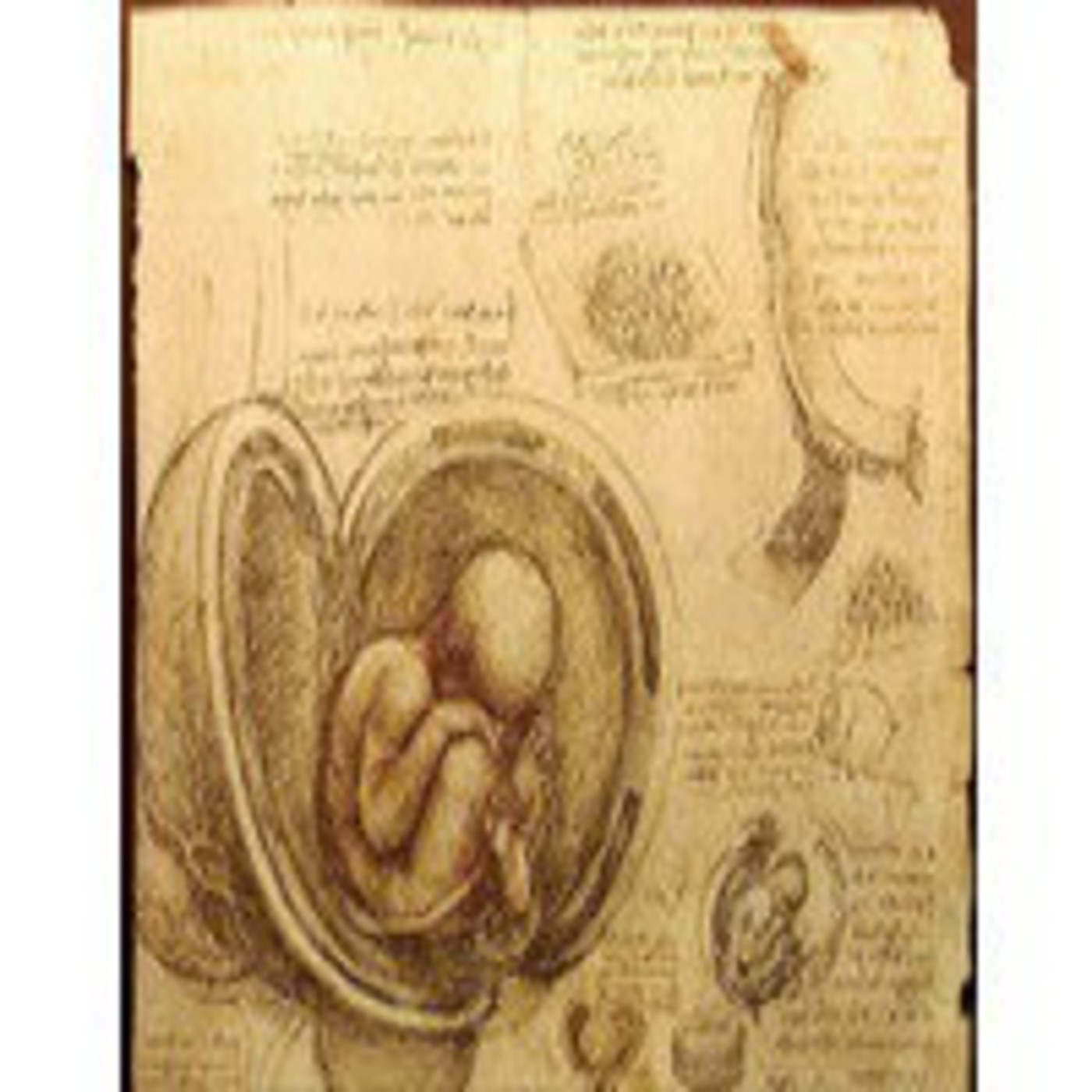 Podcast LAS VISIONES DE LA ANTIGÜEDAD