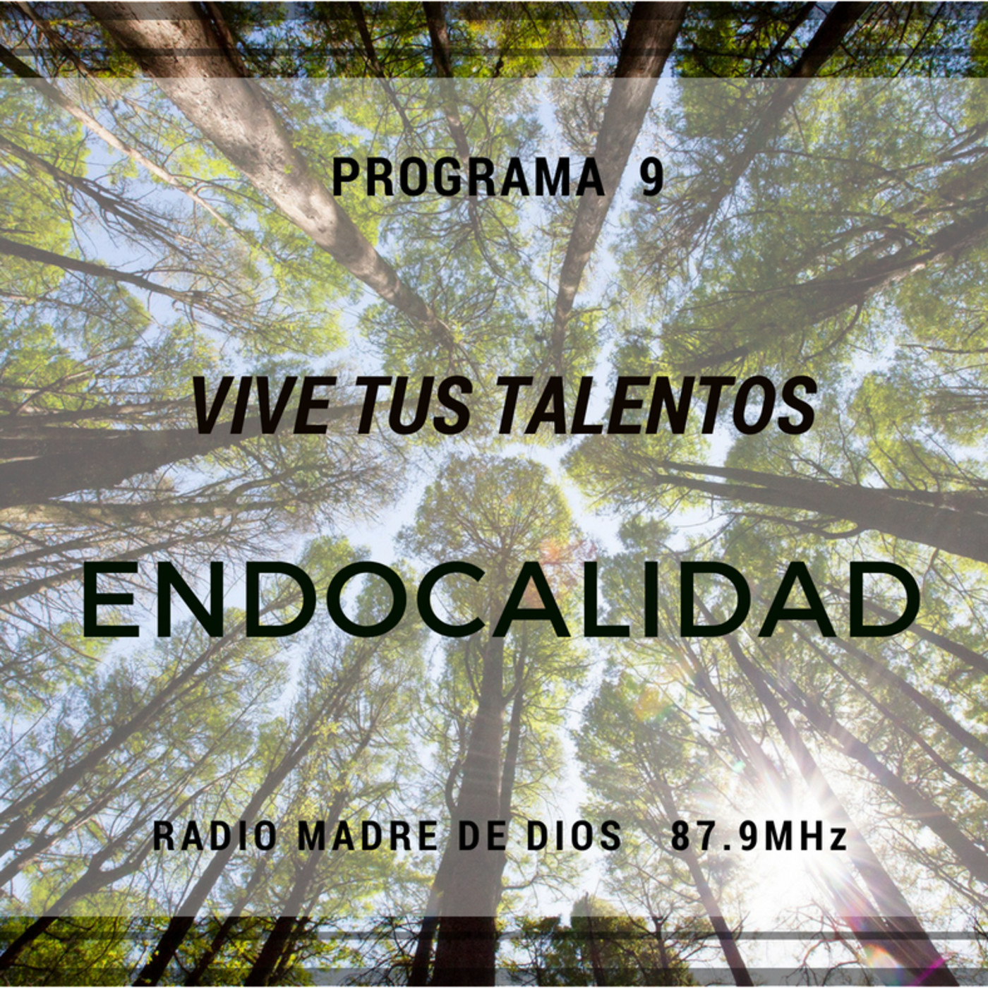 Vive Tus Talentos - Deideas Consultora