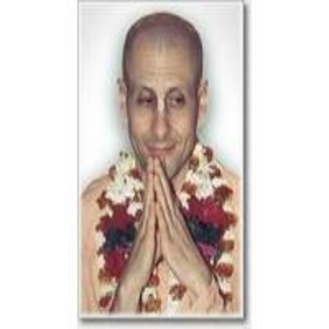 H.H. Radhanath Swami