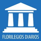 FT - Constitución, ley y privilegio