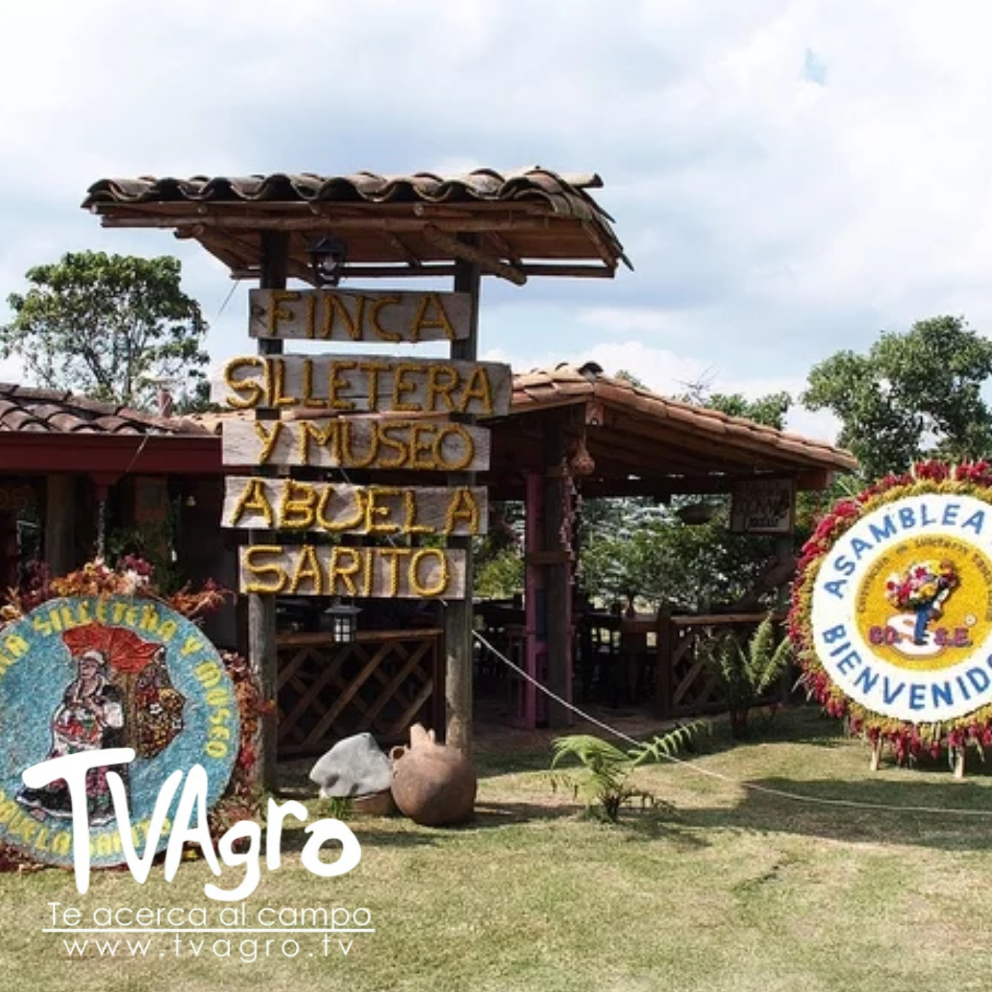 TV AGRO