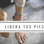 #33 Libera tus pies... Todo sobre el calzado minimalista