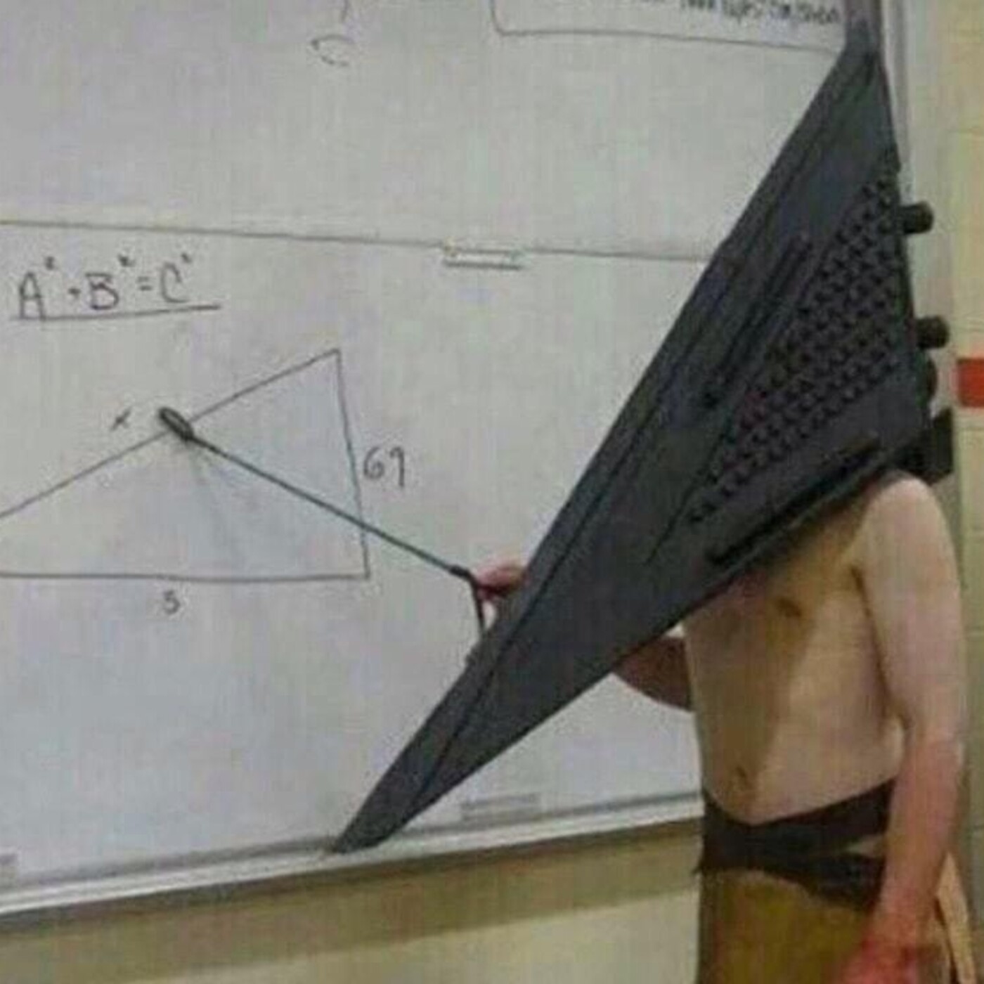 CON UN PAR DE MANDOS
