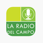 Nuevos Vientos en el Campo 10/11/2018 Alberto Morelli, Presidente Maizar