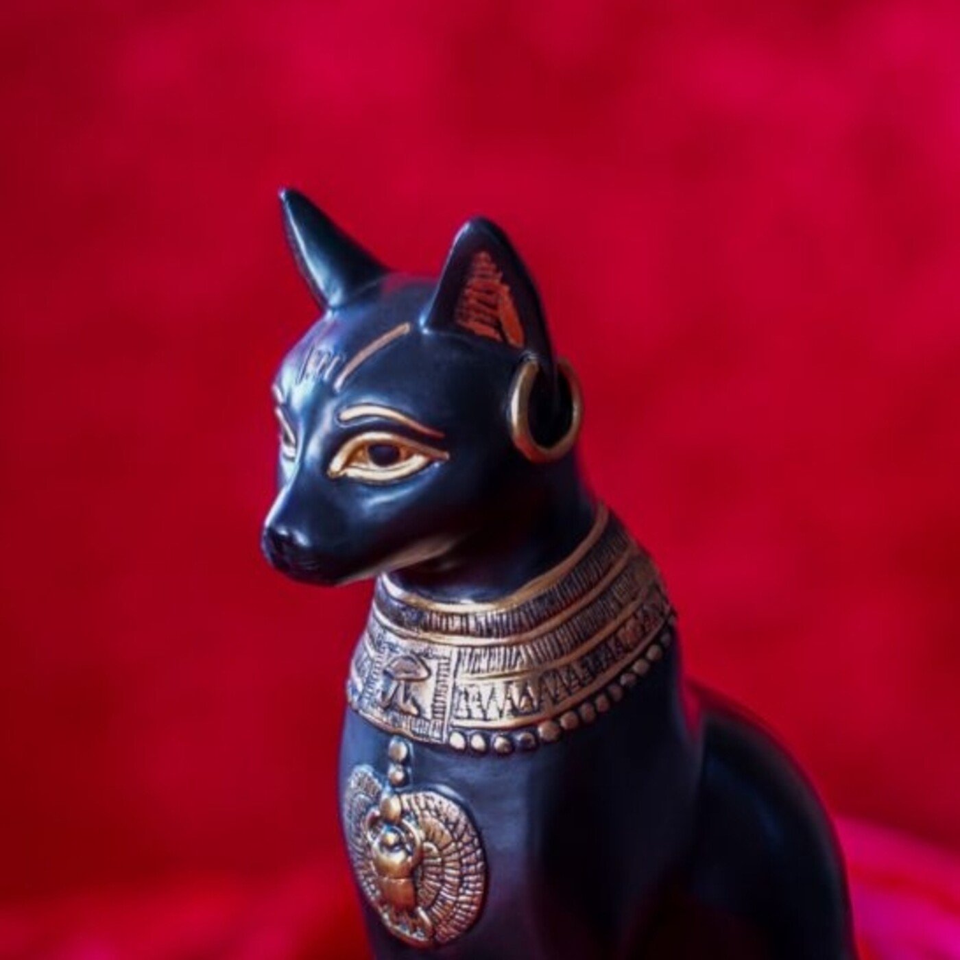 Podcast Mascotero - Mundo animal