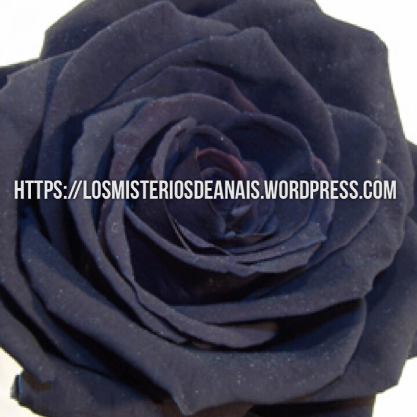 LOS MISTERIOS DE ANAIS